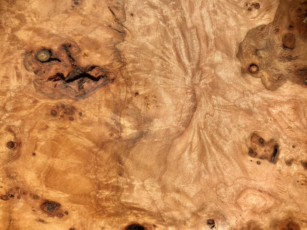 Wood Burl Texture